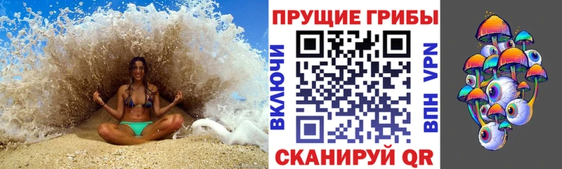 где купить наркотик  Димитровград  Псилоцибиновые грибы MAGIC MUSHROOMS 